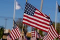 American Flags Wave In The Wind During The Veterans Memorial Celebration Weekend Royalty Free Stock Photo