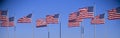 Group of American flags waving, Liberty State Park, New Jersey