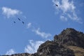 A group of Andean Condors fly above a mountain pass in the Sacred Valley, Cusco, Peru Royalty Free Stock Photo