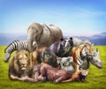 Group of animals Royalty Free Stock Photo