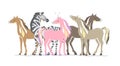 Group of animals. Beautiful cute pink unicorn, zebra and horses. couple of unicorn and zebra in love. isolated image