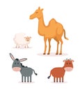 Group of animals manger characters