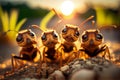 A group of ants looking directly at the camera in nature. AI generated