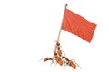 A group of ants with red flag.3D illustration.