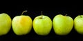 Group of apples including granny smith, golden delicious and royal gala on a black background Royalty Free Stock Photo