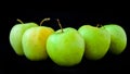 Group of apples including granny smith, golden delicious and royal gala on a black background Royalty Free Stock Photo