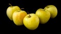 Group of apples including granny smith, golden delicious and royal gala on a black background Royalty Free Stock Photo