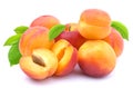 Group of apricots with leaves Royalty Free Stock Photo