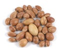 Group of argan nuts on a white background. Royalty Free Stock Photo