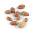 Group of argan nuts on a white background. Royalty Free Stock Photo