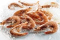 Group of Argentinian Prawns on a background of crushed ice Royalty Free Stock Photo
