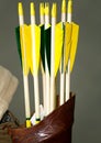 Group of arrows of a medieval bow in the quiver Royalty Free Stock Photo