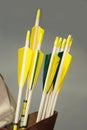 Group of arrows of a medieval bow in the quiver Royalty Free Stock Photo