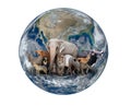 Group of asia animal with planet earth