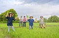 group of asian female farmers holding young rice sprouts,working in rice field Royalty Free Stock Photo