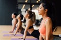 Group of Asian fitness people doing yoga upward facing dog pose on mats at yoga studio. Young women and man exercising Royalty Free Stock Photo