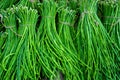 A group of Asparagus Bean or Long yard bean fresh green vegetable bundles ready for sale to market