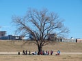 Group Assemble Under Big Tree Royalty Free Stock Photo