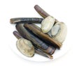 Group of assorted clams