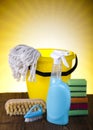 Group of assorted cleaning Royalty Free Stock Photo