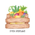 group of assorted fresh colorful vegetable watercolour in wooden garden container vector cartoon hand painted illustration