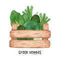 group of assorted green vegetables watercolour in wooden garden container basket hand painted isolated on white background