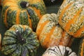 Group of assorted pumpkins on wooden table, including three small ones, close together Royalty Free Stock Photo