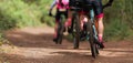 Group of athletes mountain biking on forest trail Royalty Free Stock Photo