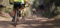 Group of athletes mountain biking on forest trail Royalty Free Stock Photo