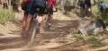 Group of athletes mountain biking on forest trail