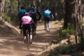 Group of athletes mountain biking on forest trail