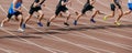 group athletes runners start Royalty Free Stock Photo