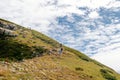 group athletes running down mountainside in Rosa Wild Trail