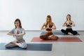Group athletic attractive girls sit in lotus position on yoga mat indoors .Yoga
