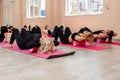 A group athletic women doing pilates or yoga on pink mats in front of a window in a beige loft studio interior. Teamwork
