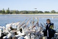 A group of Australian pelicans for feeding time.