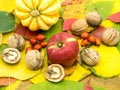 Group of autumn fruits on colored autumnal leafs carpet seasonal concept