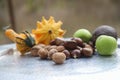 Group of autumnal fruits such as pumpkins, lots of walnuts and chestnuts, green apples and avocado on a silver tray