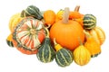 Group of autumnal gourds - pumpkins, turban squash and ornamentals Royalty Free Stock Photo