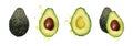 Group of avocado illustrations. Whole and halved, with and without stone