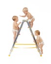 Group of babies climbing on stepladder over white