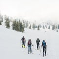 Group of back country skiers walking through a misty valley.
