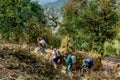 Group of backpackers with trekking poles walking up to the hill Royalty Free Stock Photo