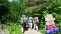 Group backpacking hikers headed into woods