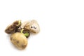 Group of Bad Bean Seeds on White Royalty Free Stock Photo