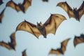 A group of bats flying in the sky Royalty Free Stock Photo