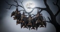 Bats Hanging Upside Down in a Tree at Night Royalty Free Stock Photo