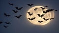 A group of bats silhouetted against the backdrop of a crescent moon