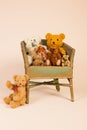Group bears sitting in chair