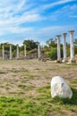 Group of beautiful marble columns belonging to Salamis ruins complex in Northern Cyprus. Salamis was ancient Greek city-state